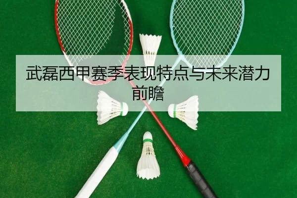 武磊西甲赛季表现特点与未来潜力前瞻